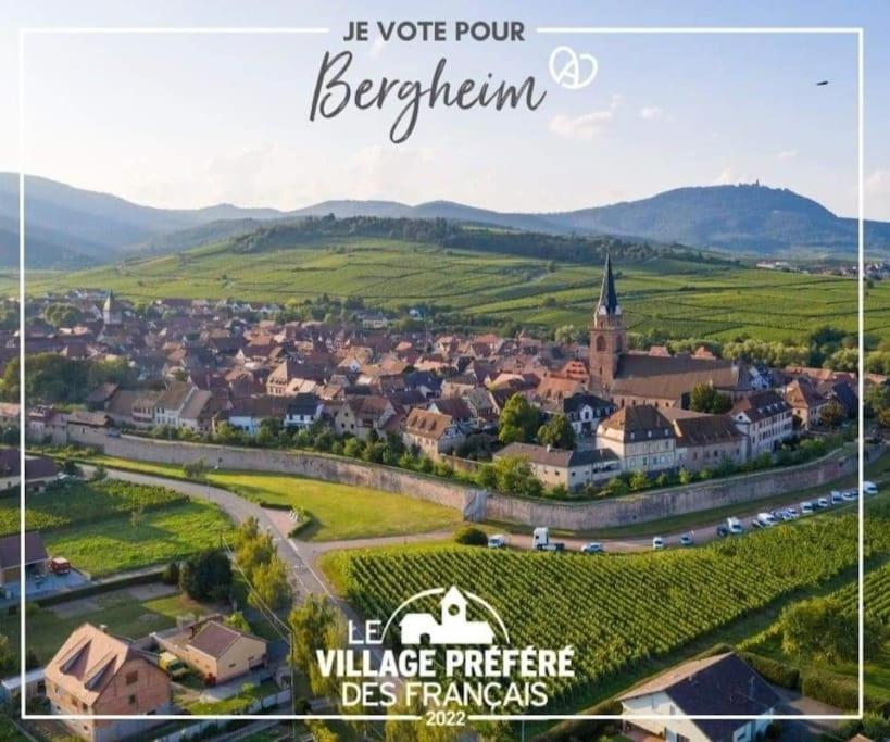 Gite Boniface Pour 2 Pers Bergheim Exteriér fotografie