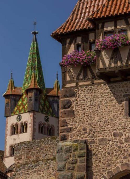 Gite Boniface Pour 2 Pers Bergheim Exteriér fotografie