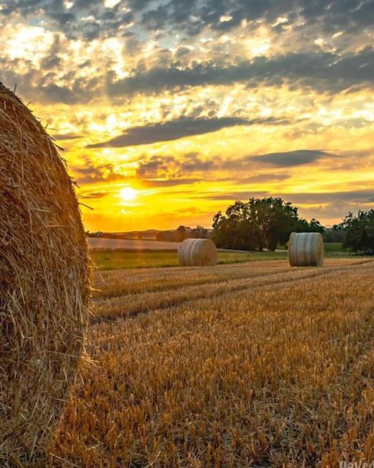 Gite Boniface Pour 2 Pers Bergheim Exteriér fotografie